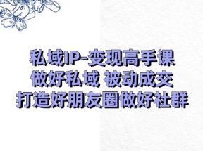 私域IP变现高手课：做好私域被动成交，打造好朋友圈做好社群（18节）