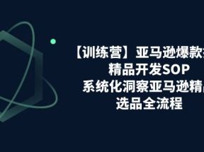 亚马逊爆款打造之精品开发SOP【训练营】，系统化洞察亚马逊精品选品全流程