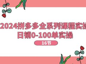 2024拼多多全系列课程实操，日销0-100单实操【16节课】