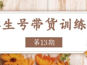 养生号带货训练营【第13期】收益更稳定的玩法，让你带货收益爆炸