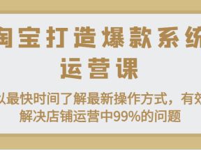 淘宝打造爆款系统运营课：以最快时间了解最新操作方式，有效解决店铺运营中99%的问题