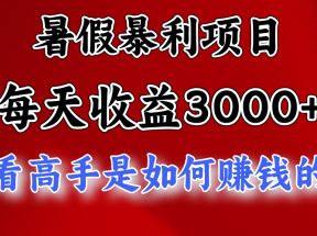 暑假暴力项目 1天收益3000+，视频号，快手，不露脸直播.次日结算