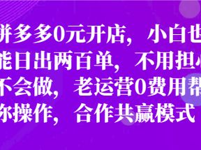 最新拼多多优质项目小白福利，两天销量过百单，不收费、老运营代操作