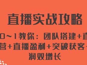 直播实战攻略 从0~1教你：团队搭建+直播运营+直播盈利+突破获客+利润双增长