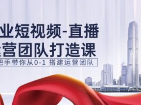 企业短视频直播运营团队打造课，手把手带你从0-1搭建运营团队（15节）