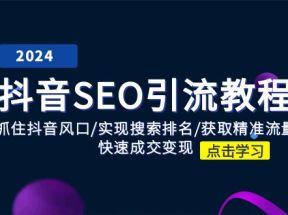 抖音SEO引流教程：抓住抖音风口/实现搜索排名/获取精准流量/快速成交变现