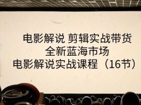 电影解说剪辑实战带货全新蓝海市场，电影解说实战课程（16节）