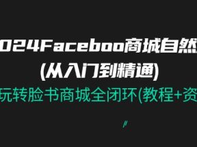 2024Facebook 商城自然流(从入门到精通)，玩转脸书商城全闭环(教程+资料)