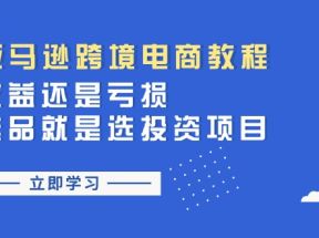 亚马逊跨境电商教程：收益还是亏损！选品就是选投资项目