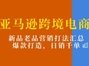 亚马逊跨境电商：新品老品营销打法汇总，爆款打造，日销千单