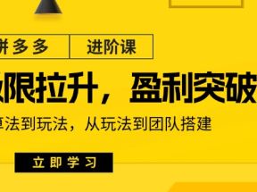 拼多多进阶课：极限拉升/盈利突破：从算法到玩法 从玩法到团队搭建（18节）