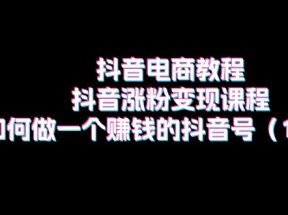 抖音电商教程：抖音涨粉变现课程：如何做一个赚钱的抖音号（18节）