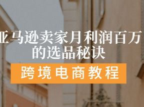 亚马逊卖家月利润百万的选品秘诀: 抓重点/高利润/大方向/大类目/选品易