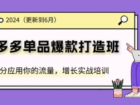 2024拼多多单品爆款打造班，充分应用你的流量，增长实战培训(更新6月)