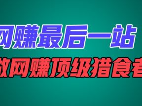 网赚最后一站，卖项目，做网赚顶级猎食者