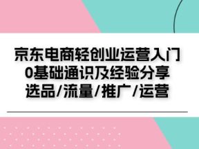 京东电商轻创业运营入门0基础通识及经验分享：选品/流量/推广/运营