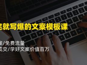 看完就写爆的文案模板课，好文案/免费流量/快速成交/学好文案价值百万