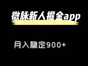 最新微脉长久项目，拉新掘金，月入稳定900+