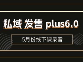 私域发售plus6.0【5月份线下课录音】/全域套装sop流程包，社群发售工具套装模型