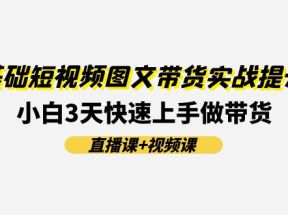 0基础短视频图文带货实战提升班，小白3天快速上手做带货(直播课+视频课)