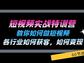 短视频实战特训营：教你如何做短视频，各行业如何获客，如何变现 (60节)