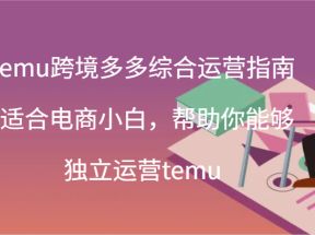 temu跨境多多综合运营指南-适合电商小白，帮助你能够独立运营temu(44节)