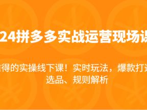 2024拼多多实战运营现场课，实时玩法，爆款打造，选品、规则解析，难得的实操线下课！