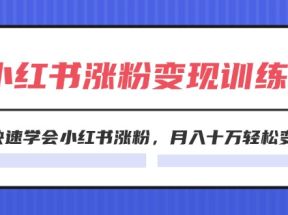 2024小红书19天涨粉变现特训营，快速学会小红书涨粉，月入十万轻松变现（42节）