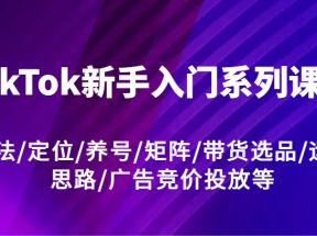 TikTok新手入门系列课程，玩法/定位/养号/矩阵/带货选品/运营思路/广告竞价投放等