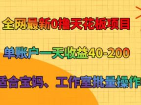 全网最新0撸天花板项目 单账户一天收益40-200 适合宝妈、工作室批量操作