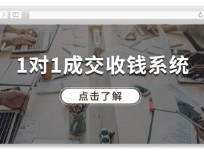 1对1成交收钱系统，全网130万粉丝，十年专注于引流和成交！