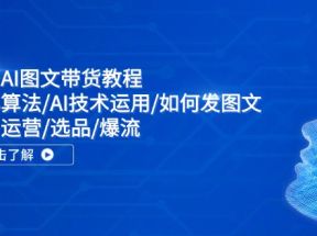 抖音AI图文带货教程：核心算法/AI技术运用/如何发图文/账号运营/选品/爆流