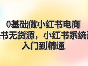 0基础做小红书电商，小红书无货源系统运营，入门到精通 (70节)