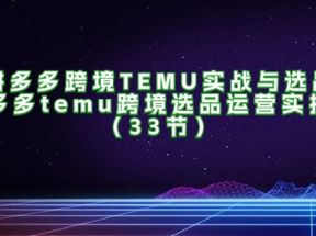 拼多多跨境TEMU实战与选品，多多temu跨境选品运营实操（33节）