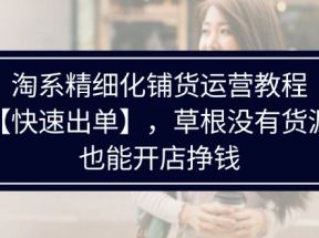 淘系精细化铺货运营教程，普通人没有货源也能快速开店出单挣钱（538节）