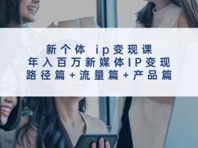 新个体ip变现课，年入百万新媒体IP变现，路径篇+流量篇+产品篇