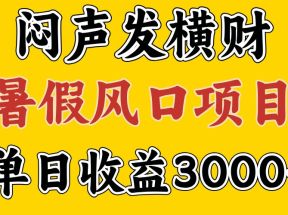 30天赚了7.5W 暑假风口项目，比较好学，2天左右上手