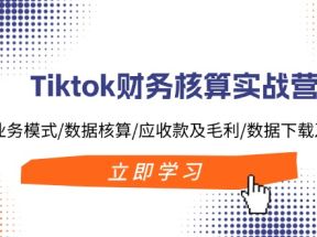 Tiktok财务核算实战营：TK业务模式/数据核算/应收款及毛利/数据下载及报表