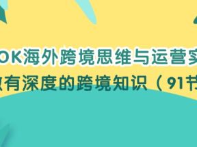 TIKTOK海外跨境思维与运营实战课，只做有深度的跨境知识（91节课）