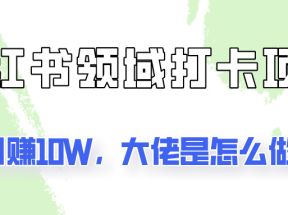 通过小红书领域打卡项目2个月赚10W，大佬是怎么做的？