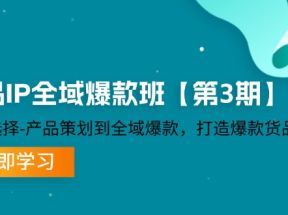 货品IP全域爆款班【第3期】赛道选择、产品策划到全域爆款，打造爆款货品IP