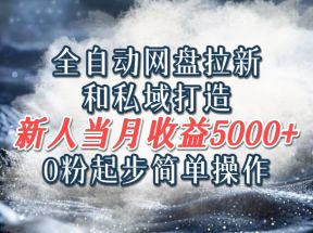 全自动网盘拉新和私域打造，0粉起步简单操作，新人入门当月收益5000以上