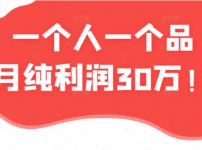 某公众号付费文章：一个人一个品月纯利润30万的蓝海电商经典案例！