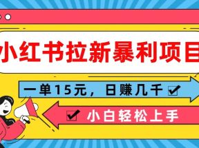 小红书拉新暴利项目，一单15元，日赚几千小白轻松上手