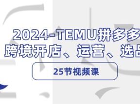 2024TEMU拼多多跨境开店、运营、选品（25节视频课）