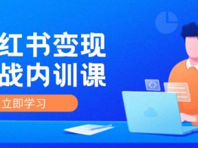 小红书变现实战内训课，0-1实现小红书-IP变现 底层逻辑/实战方法/训练结合