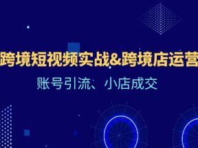 Tk跨境短视频实战，跨境店运营课：账号引流、小店成交