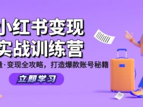 小红书变现实战训练营：定位·流量·变现全攻略，打造爆款账号秘籍