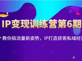 IP变现训练营第6期：教你搞流量新姿势，IP打造获客私域经营