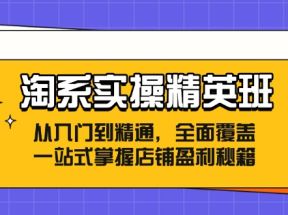 淘系实操精英班：从入门到精通，全面覆盖，一站式掌握店铺盈利秘籍